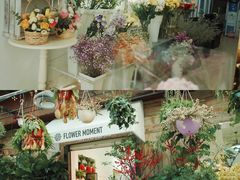 -溪岸路花鸟市场