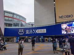 -盒马X会员店(王府井奥莱UP TOWN店)