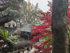 -韬光茶庵
