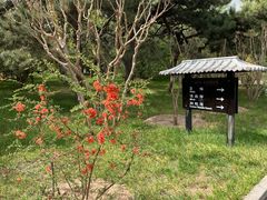 -钓鱼台国宾馆