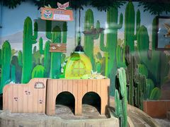 -萌宠奇缘(荣鼎店)