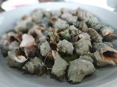 白灼海螺-海上驿站渔家菜馆