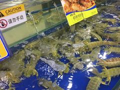 -东江海鲜酒家(艺都分店)