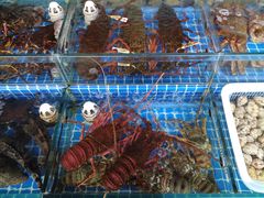 -江杨农产品批发市场