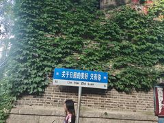 -日照海滨国家森林公园
