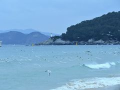 -海云台海滩