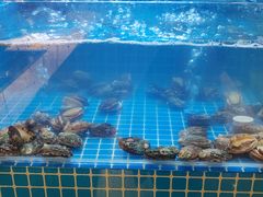 -现代华天大酒店海鲜自助餐(芙蓉南路店)