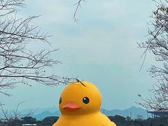 -深圳人才公园