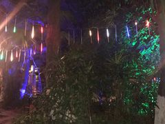 -丰泰花园酒店热矿泉