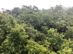 -紫金山索道-售票处