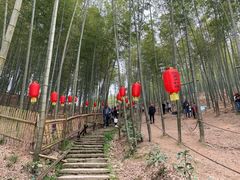-宁波浙东大竹海景区