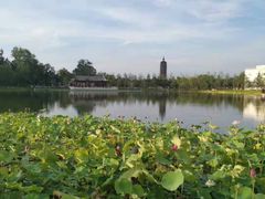 -西海子公园