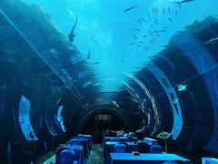 -海棠湾洲际-涛·海底餐厅·美人鱼·自助餐·海底隧道