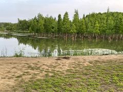 -白鹭湾湿地公园