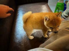 -宠颐生动物医院·小陆分院