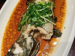 -森谷美食公园(杨行店)