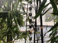 -有马温泉 竹取亭円山温泉旅馆
