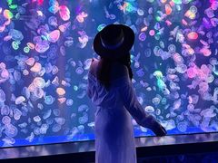 -海合安成都极地海洋公园