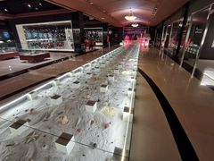 -青岛贝壳博物馆
