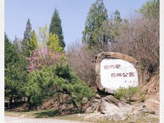 -白水寺森林公园