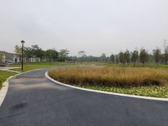 -王借岗森林公园