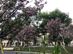 -长沙市青少年宫