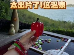 -天目湖涵田半山温泉