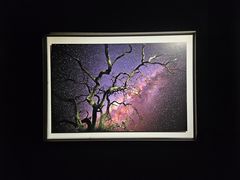 -罗红摄影艺术馆