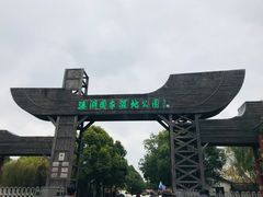 -溱湖国家湿地公园