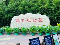 -莲花池公园