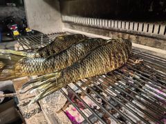 -杨合林啊兰烤鱼