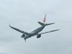 -空港花田景区