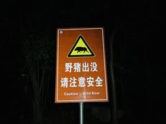 -紫金山山顶公园