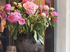 -Apollo·西班牙小酒馆(安福路店)
