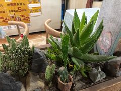 -冷峰马家鸡蛋牛奶醪糟(八朗学五巷店)