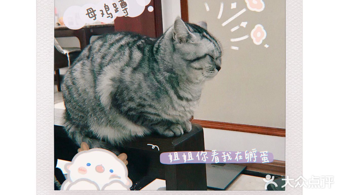 记录生活日常 | 黄油相机超好用✨