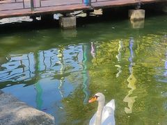 -海合安武汉极地海洋公园