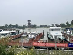 -泗洪洪泽湖湿地景区