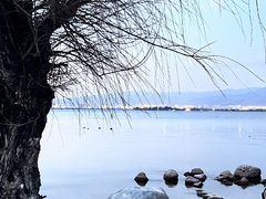 -西昌邛海湾柏樾酒店(原邛海湾柏栎度假酒店)