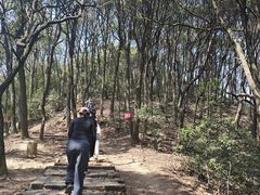 -西湖风景区十里琅珰-五云山