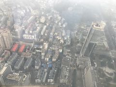-紫峰大厦