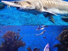 -多彩贵州城极地海洋世界