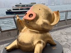 -星光大道