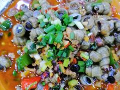 -全乐鱼馆·淳牌有机鱼直营店