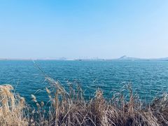 -南湖国家城市湿地公园