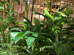 -浅深(北京北四环精品店)