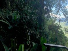 -清迈丛林飞跃 JungleFlight