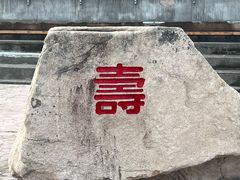 -上海滨江森林公园