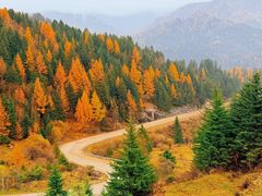 -芦芽山旅游度假区