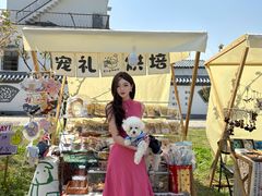 -陶辛水韵